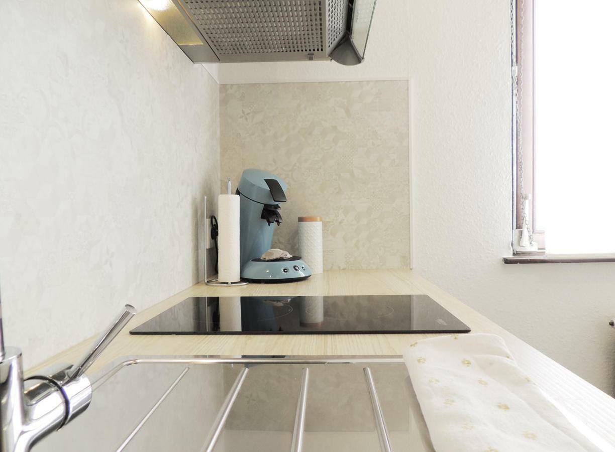 Appart'Azur Haguenau - Centre Grand'Rue - Logements Entiers Pour Voyageur Pro Ngoại thất bức ảnh